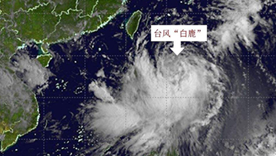 台风“白鹿”已经登陆，面对强降雨天气大家应该做好哪些防范呢？